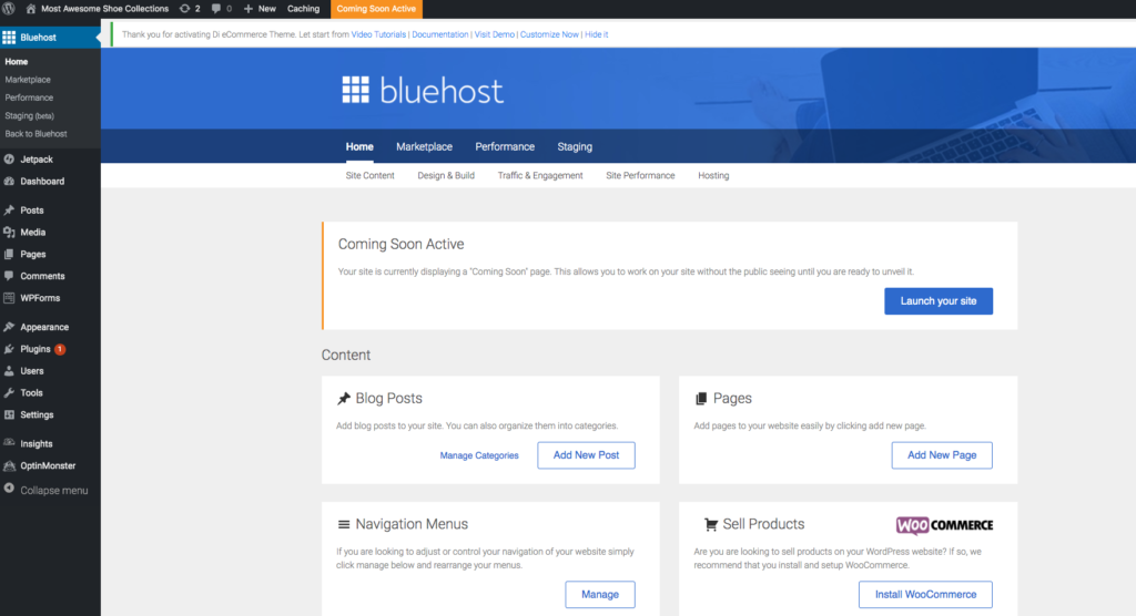 setting up your blog